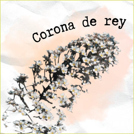 La corona de rey simboliza la perseverancia y resiliencia.